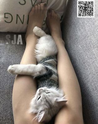 俺也去老色官网_BD韩语免费高清观看